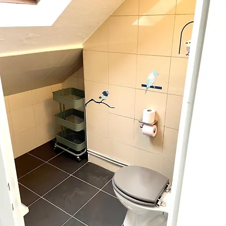 Duplex 90m2 - 3 - Apartment Mulhouse