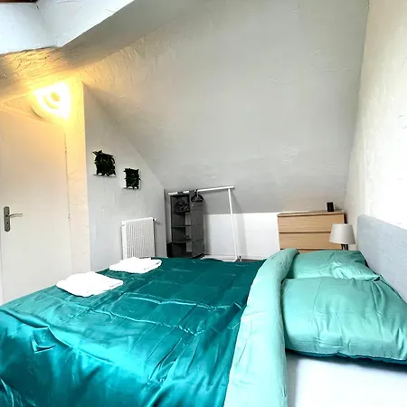Duplex 90m2 - 3 - Apartment Mulhouse