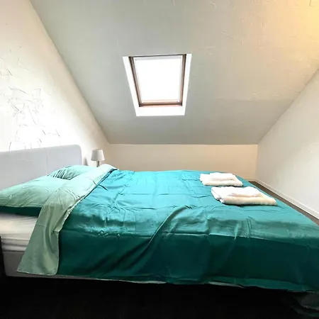 Duplex 90m2 - 3 - Mulhouse