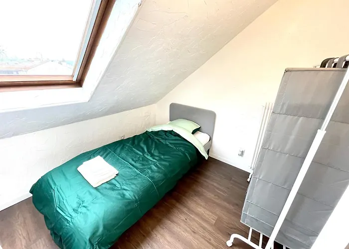 Appartamento Duplex 90m2 - 3 - Mulhouse