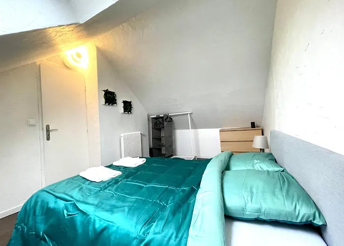 Duplex 90m2 - 3 - Appartamento Mulhouse