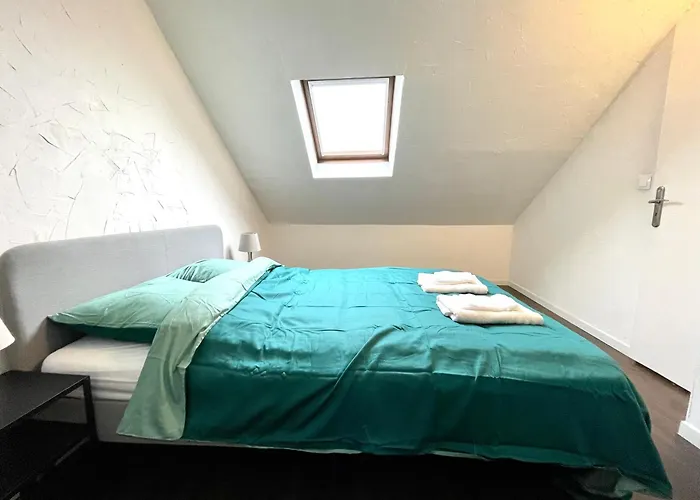 Duplex 90m2 - 3 - Mulhouse